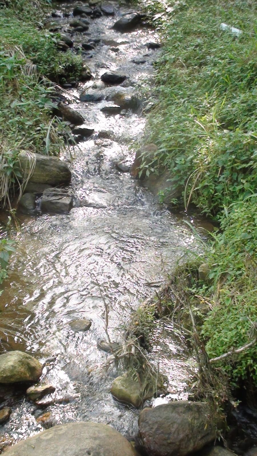 foto 21